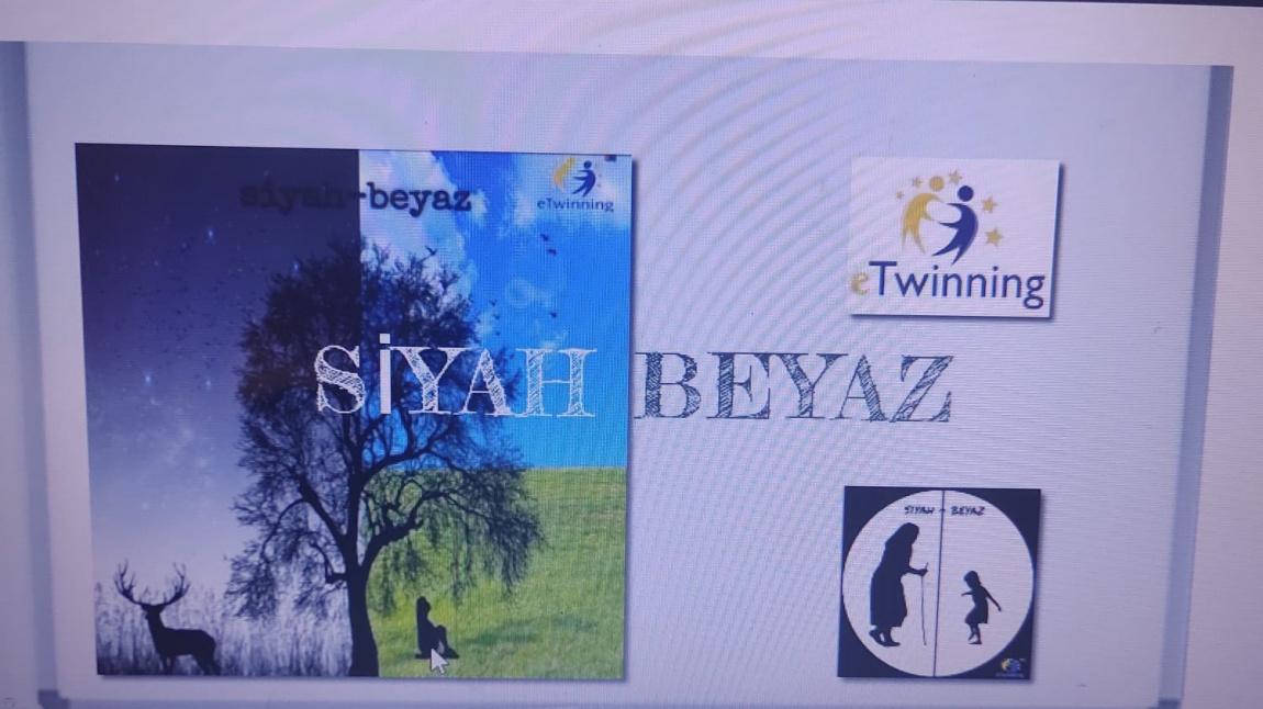 Siyah Beyaz Projemizin Final Ürünleri